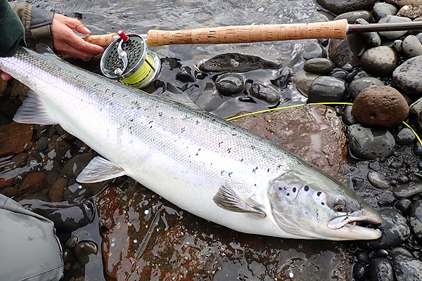 �A�C�X�����h�@�A�g�����e�B�b�N�T�[����