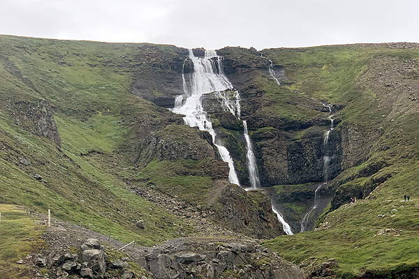 �A�C�X�����h�@�A�g�����e�B�b�N�T�[����