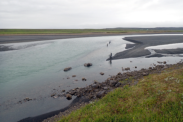 �A�C�X�����h�@�A�g�����e�B�b�N�T�[����