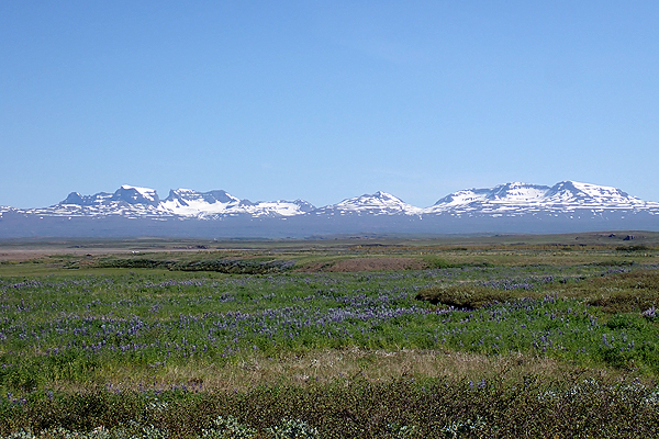 �A�C�X�����h�@�A�g�����e�B�b�N�T�[����