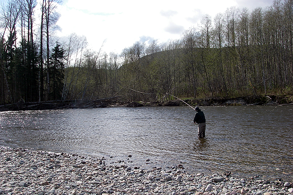 �J�i�_ �X�L�[�i���n �X�e�B�[���w�b�h